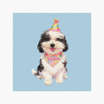 Celebration Pet Magnet (Booth) — French Blue