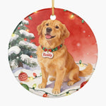 Christmas Scene Pet Ornament (Booth)