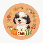 Fall Wreath Pet Coaster (Booth) — design 2