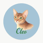 Pencil Art Pet Coaster (Booth) — French Blue