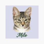 Pencil Art Pet Magnet (Booth) — Lavender