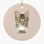 Pencil Art Pet Ornament (Booth) — Dusty Pink