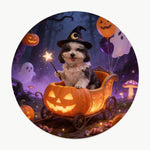 Pumpkin Cart Pet Coaster (Booth) — design 1