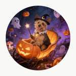 Pumpkin Cart Pet Coaster (Booth) — design 3