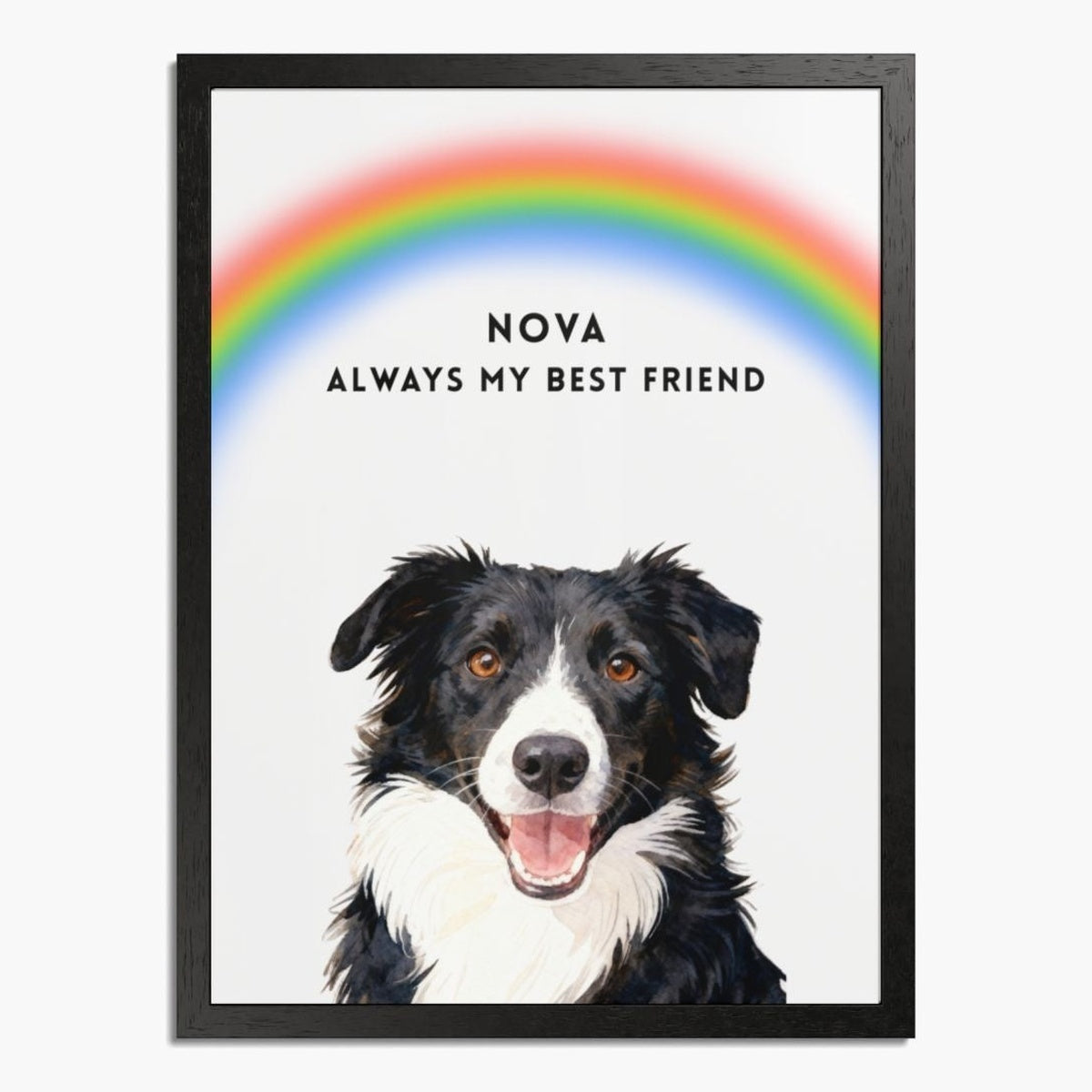Watercolor black-and-white border collie under an arched rainbow on a soft white background, in a black wood frame; text reads "NOVA ALWAYS MY BEST FRIEND".