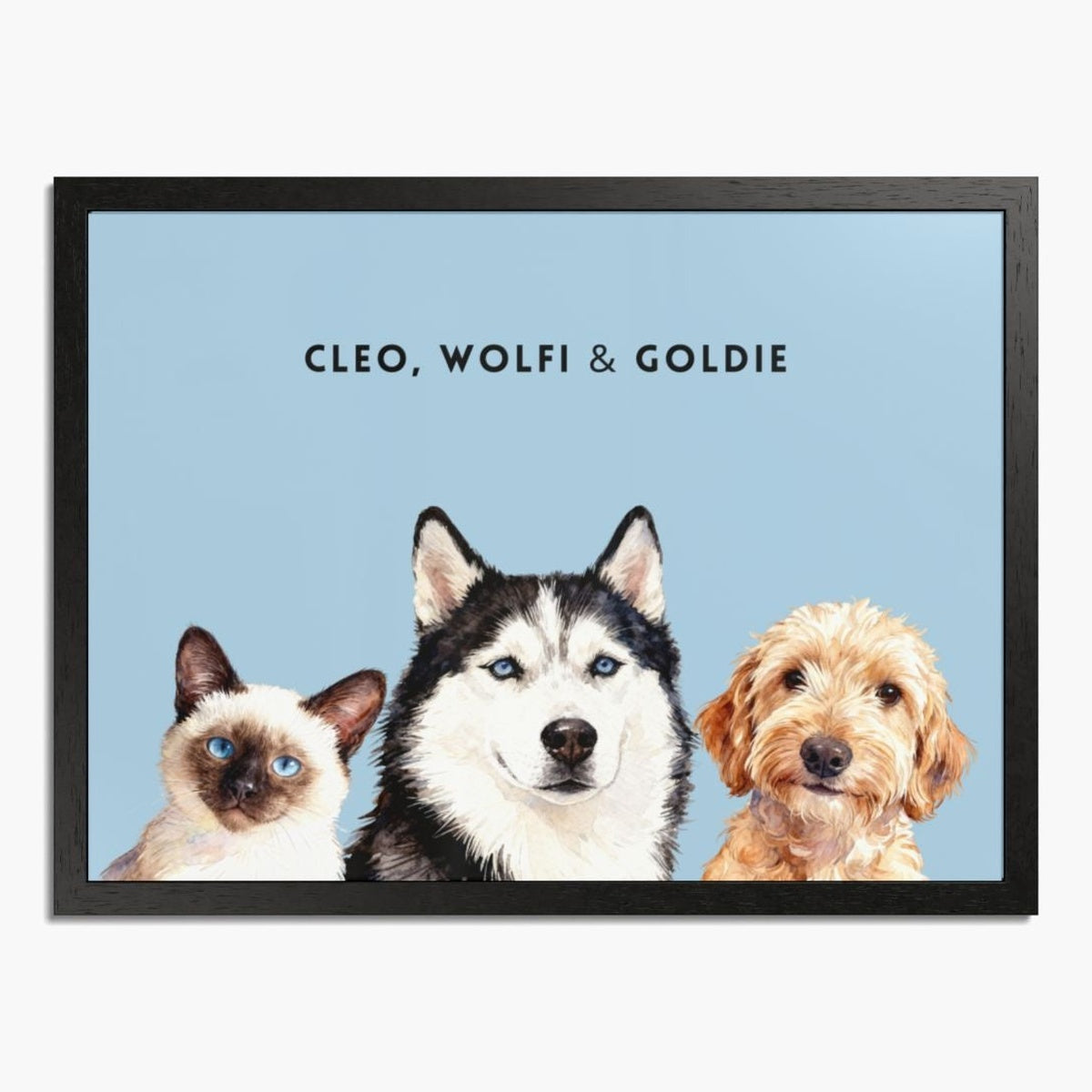 Watercolor portrait of three pets side by side on a French blue background, framed in black wood, with their names printed above.