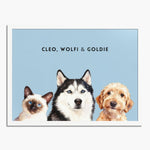 Watercolor portrait of three pets side by side on a French blue background, framed in white wood, with their names printed above.