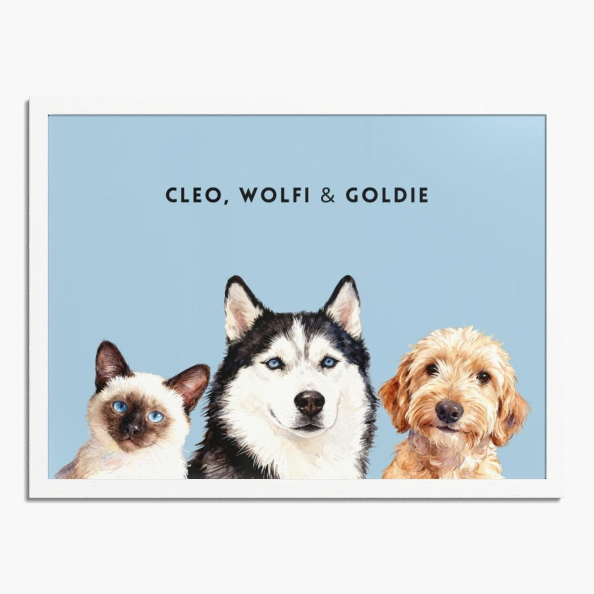 Watercolor portrait of three pets side by side on a French blue background, framed in white wood, with their names printed above.