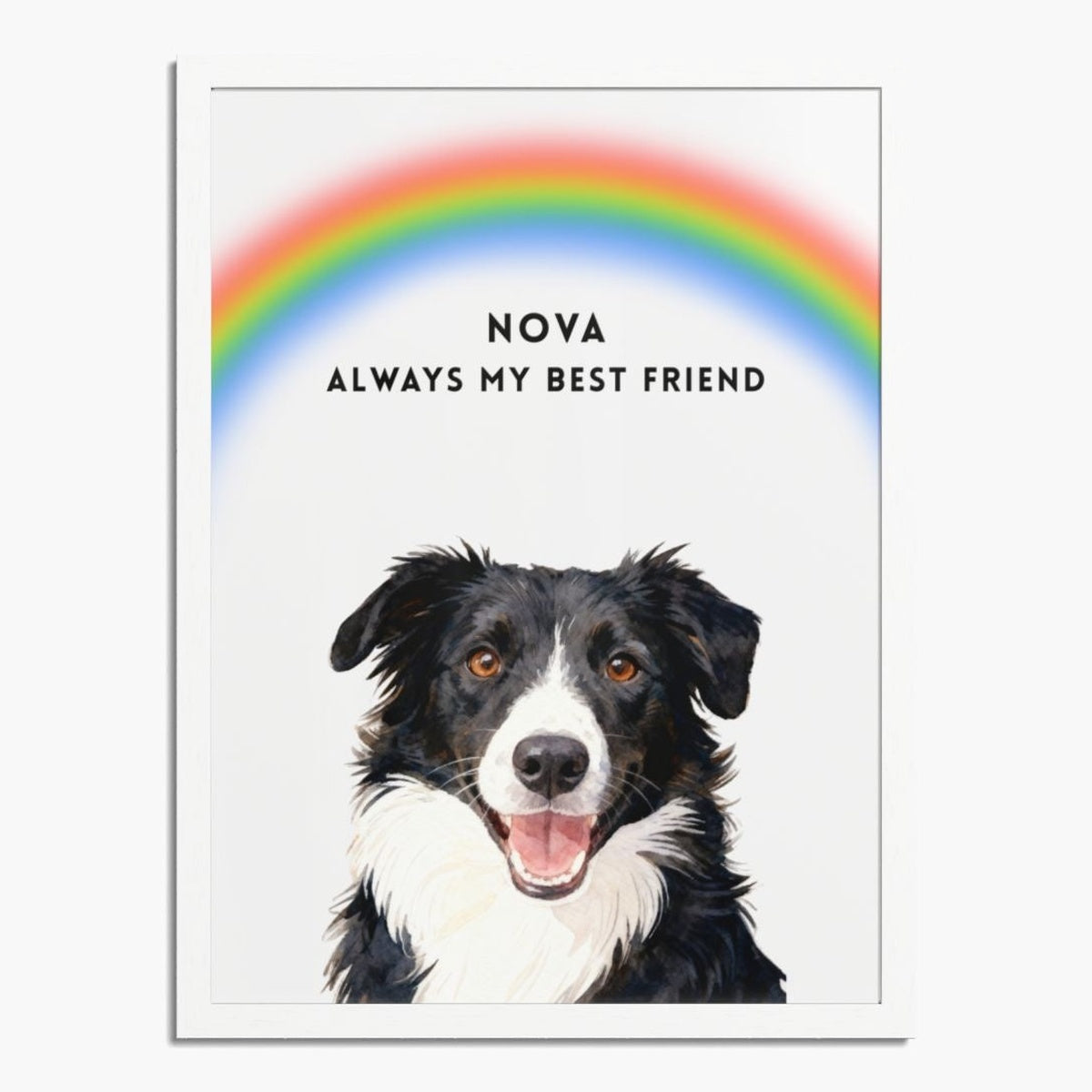 Watercolor black-and-white border collie under an arched rainbow on a soft white background, in a white wood frame; text reads "NOVA ALWAYS MY BEST FRIEND".